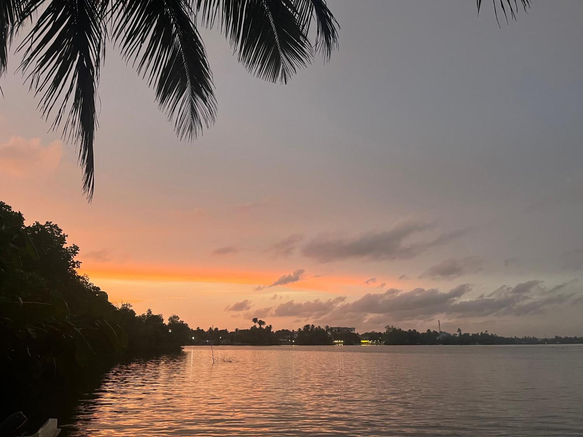 Villa Roy Bentota Bagian luar foto
